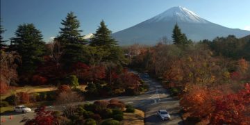 Турпоток в Японию из России вырос несмотря ни на что