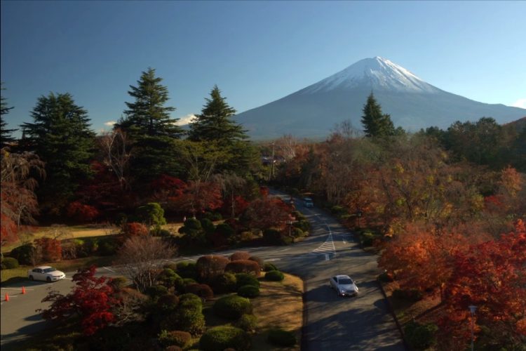 Турпоток в Японию из России вырос несмотря ни на что