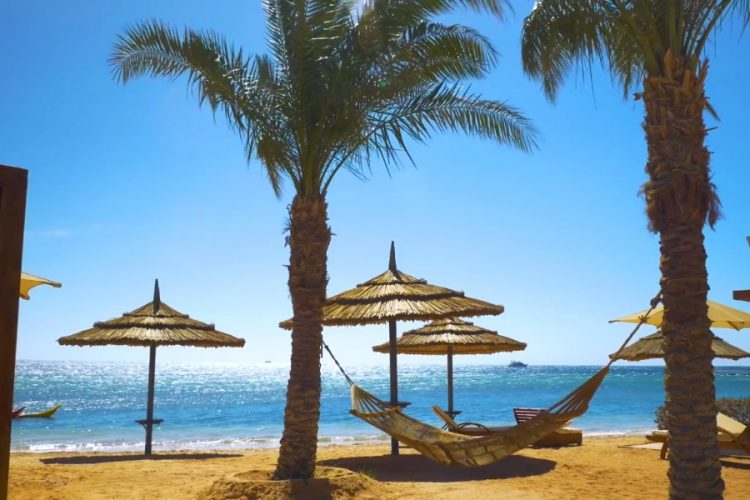 СМИ: реальное количество больных коронавирусом в Египте скрывают