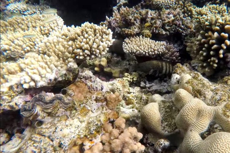 Шарм-эль-Шейх и другие города Южного Синая закрылись