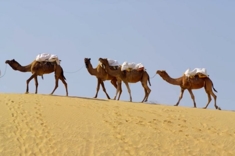 В Индии нет организованных туристов из России