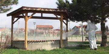 Экологи Турции: дезинфекция от коронавируса убьет все живое