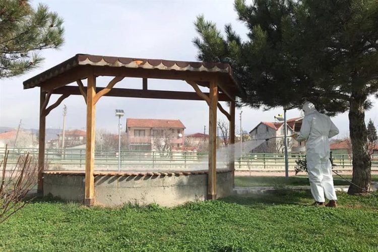 Экологи Турции: дезинфекция от коронавируса убьет все живое