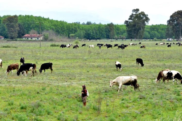 Турция собирается превратить старый военный аэродром в туробъект