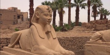 В Египте домашних животных проверят на коронавирус