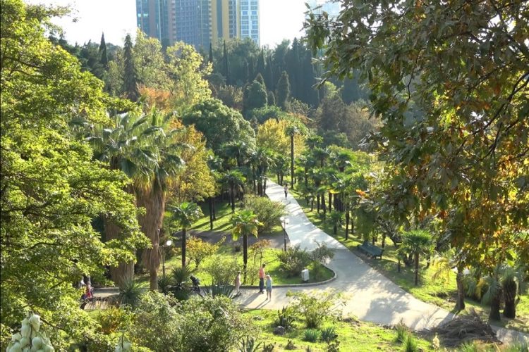 Эксперты выяснили, куда поедут российские туристы после карантина