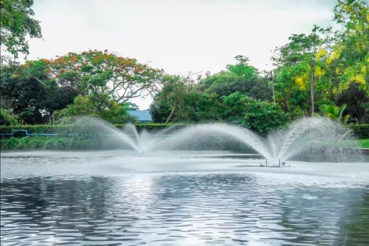 Появился кризисный центр для мирового туризма