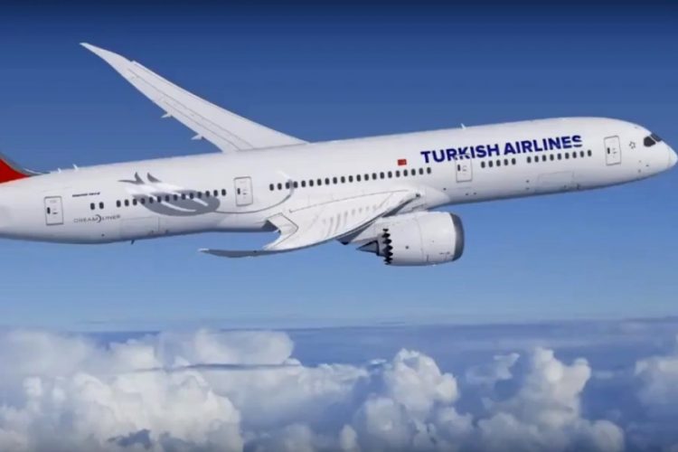 Турецкие авиалинии продлили остановку международных рейсов