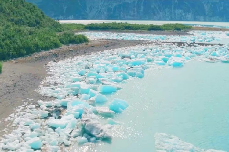 Аляска отказывается подчиняться государственным правилам в вопросах карантина