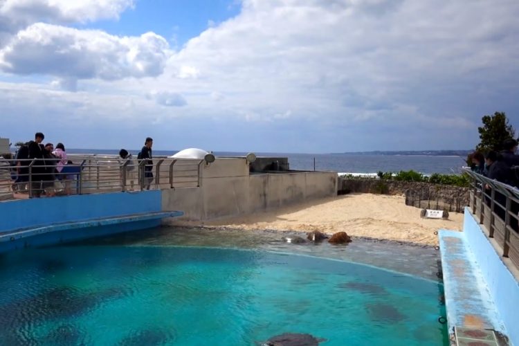 Жители префектуры Окинава недовольны наплывом туристов во время карантина