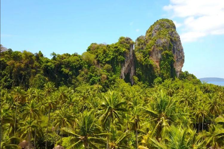 Российские туристы поселились в пещере на острове Краби