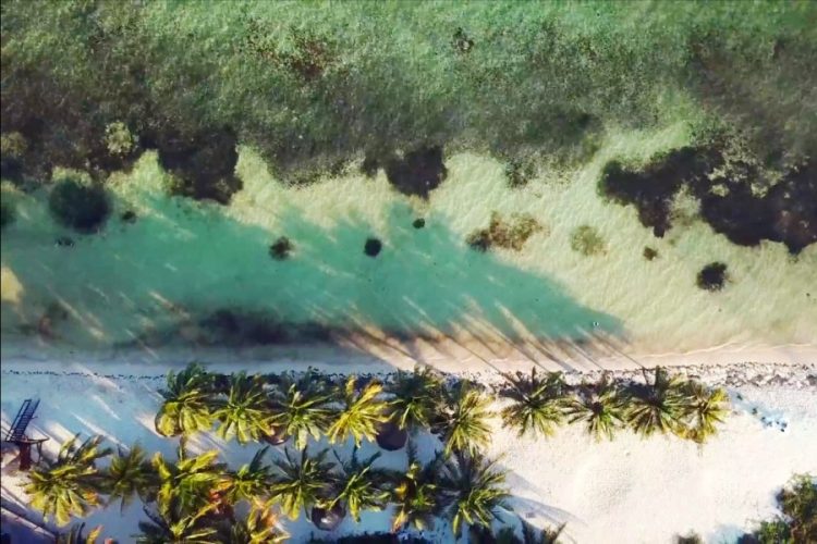 На полуострове Юкатан нашли древнее поселение