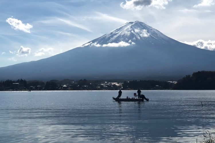 Туристическая организация Японии нашла занятие для агентов на период карантина