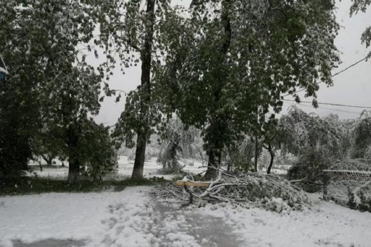 новость 26-05-2020 В восточную Турцию снова вернулась зима