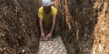 новость 28-05-2020 Под виноградниками Вероны обнаружили археологический клад