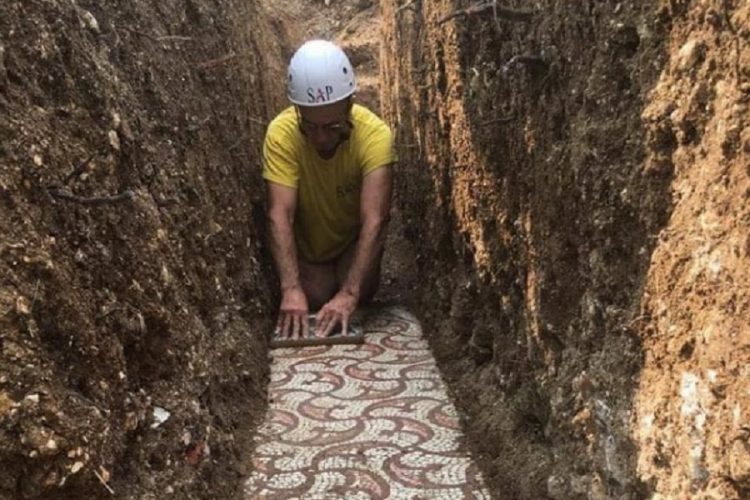 новость 28-05-2020 Под виноградниками Вероны обнаружили археологический клад