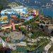 новость 13-05-2020 Тематический парк в Гонконге Ocean Park нуждается в спасении