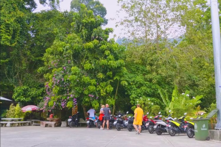 Из Пхукета массово выезжают работники туротрасли