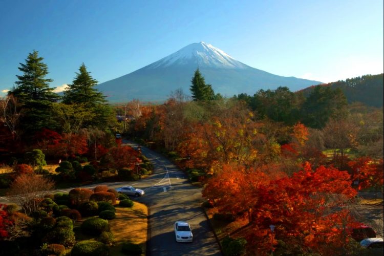 Япония собирается субсидировать только внутренний туризм