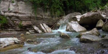 Экотуризм может исчезнуть после пандемии
