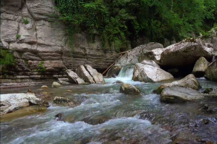 Экотуризм может исчезнуть после пандемии