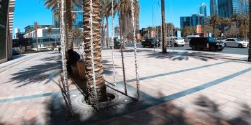 Иностранцы с действующими визами смогут приехать в ОАЭ с 1 июня