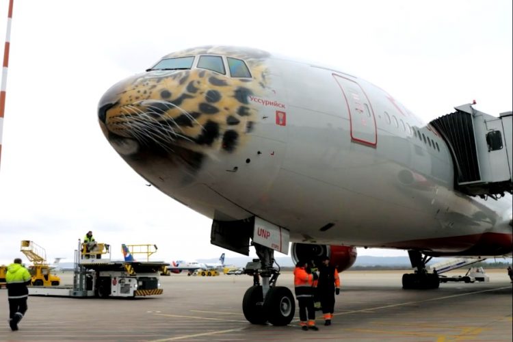 Авиакомпания Россия выпустила рекомендации для туристов