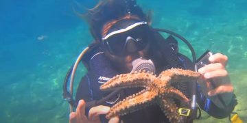 Количество рыбы в морях Турции стремительно растет
