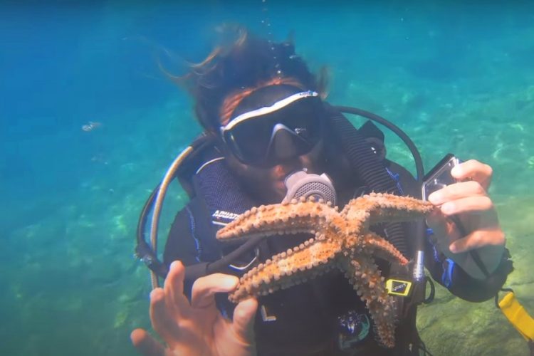 Количество рыбы в морях Турции стремительно растет