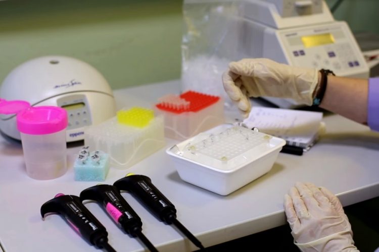 Турция будет проводить ПЦР-тестирование туристов