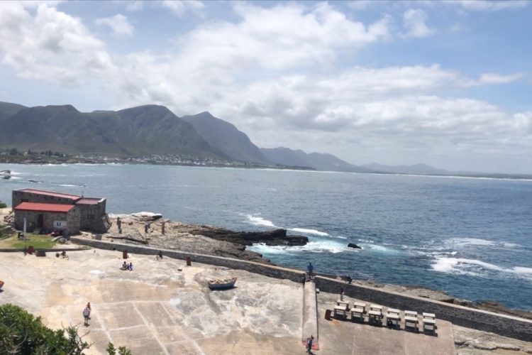 Южная Африка начала постепенный выход из карантина