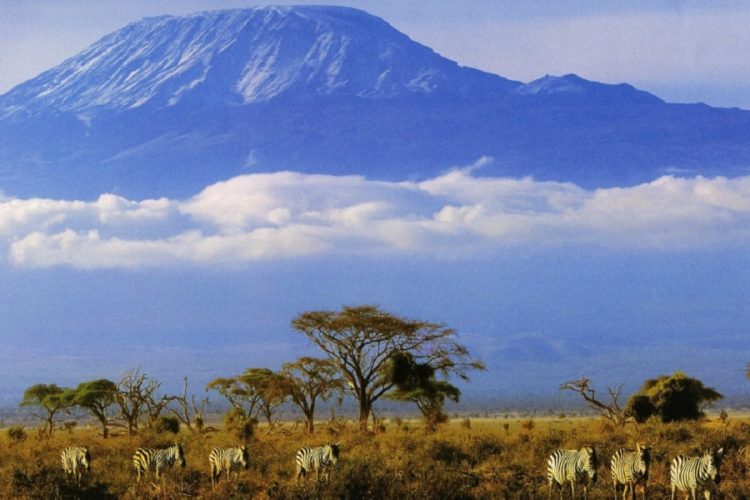 новость 12-06-2020 С июня Танзания принимает туристов по обычным правилам