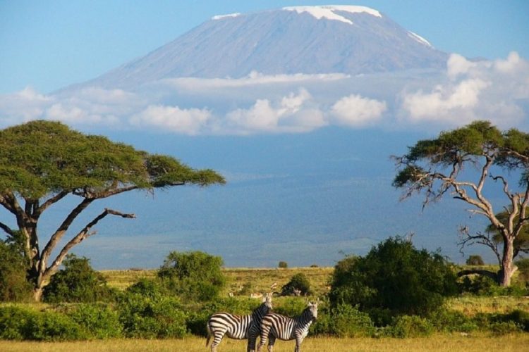 новость 07-06-2020 Кения запретила использование одноразового пластика в лесных заповедниках