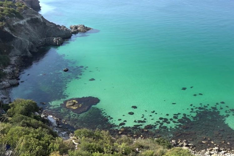 Туристы не будут сдавать тест на коронавирус перед поездкой в Крым