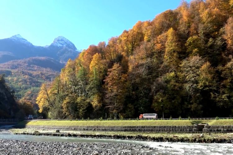 Туристы перестали бронировать отдых в Сочи из-за заявлений чиновников
