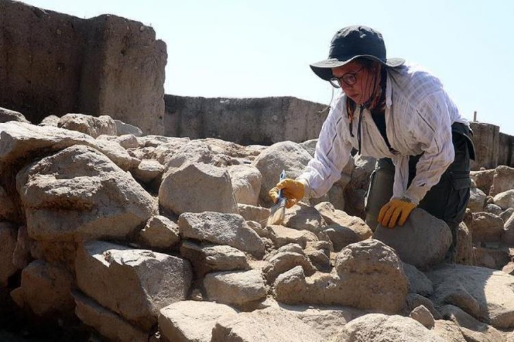 В Турции организуют раскопки в условиях пандемии