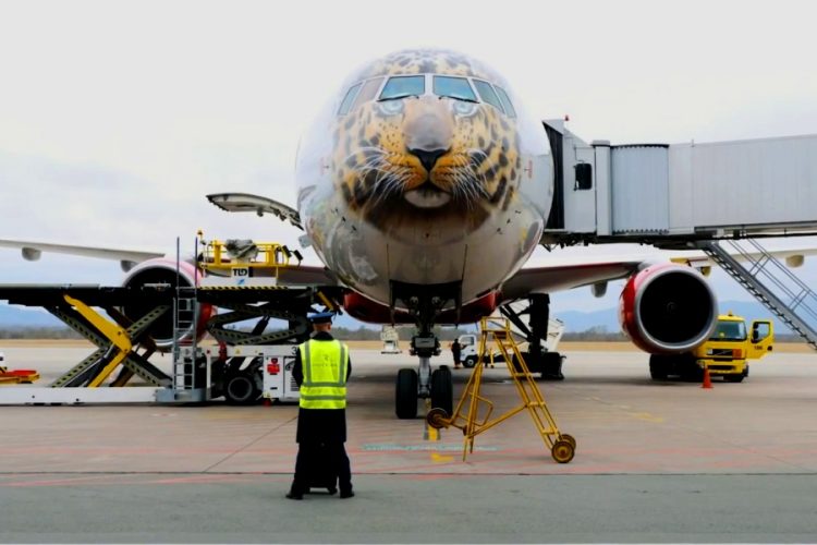 Авиакомпания Россия начала выполнять рейсы в Сочи