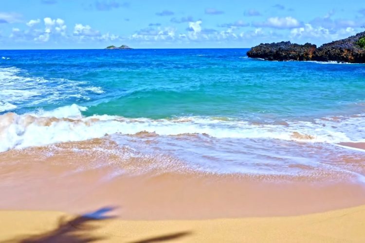 Карибский регион в этом году столкнется с большим количеством ураганов