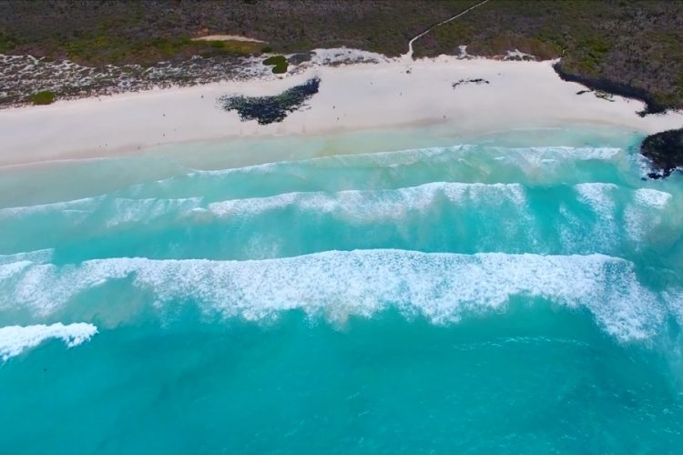 Галапагосские острова остались без ученых из-за пандемии