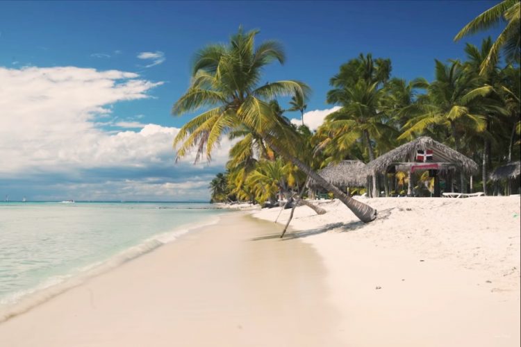 Стало известно, как организуют отдых в отелях Доминиканы