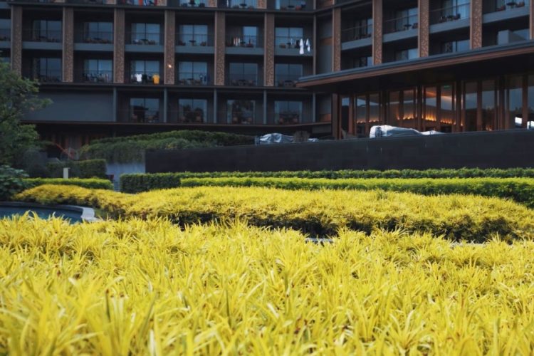 Как будут заселять в отели пары, которые не состоят в браке или не имеют родственных связей?