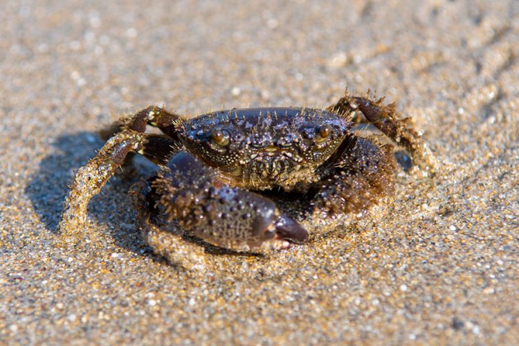 Какой из российских регионов выбирают путешественники (опрос)