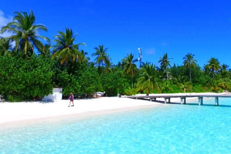 ОАЭ и Мальдивы могут отказаться в списке первых стран, куда поедут россияне