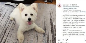 Аэрофлот получил обвинения от пассажиров