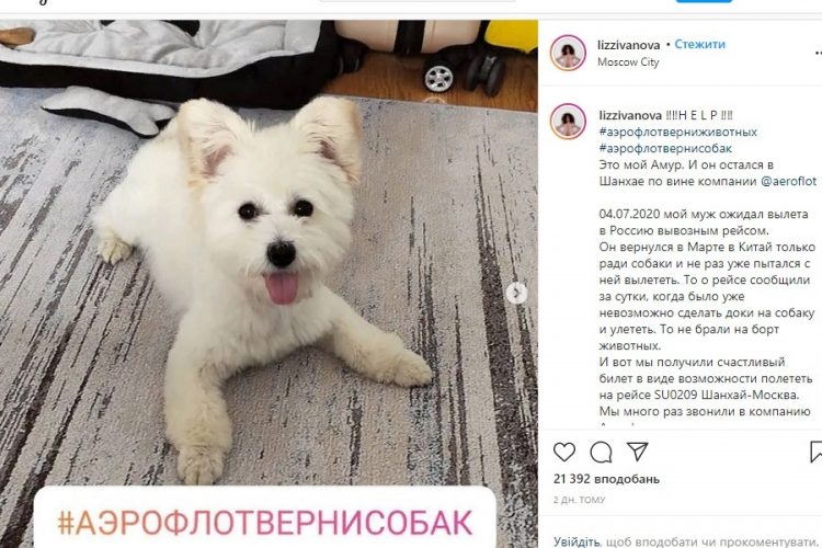 Аэрофлот получил обвинения от пассажиров