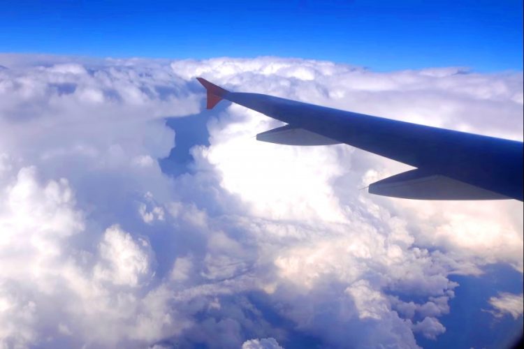 Аэрофлот объяснил, почему не забрал животных из Китая