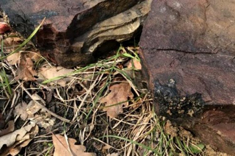 В Сочи обнаружили останки важного археологического объекта