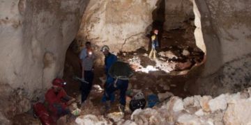 В крымской пещере Таврида нашли зубы древнего носорога
