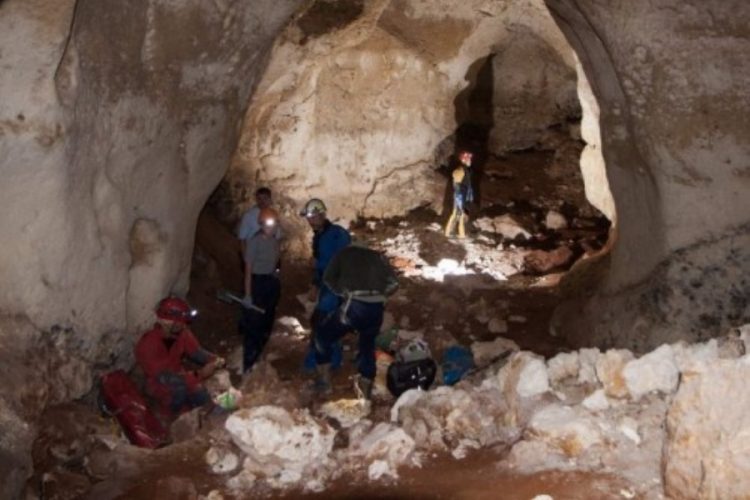 В крымской пещере Таврида нашли зубы древнего носорога