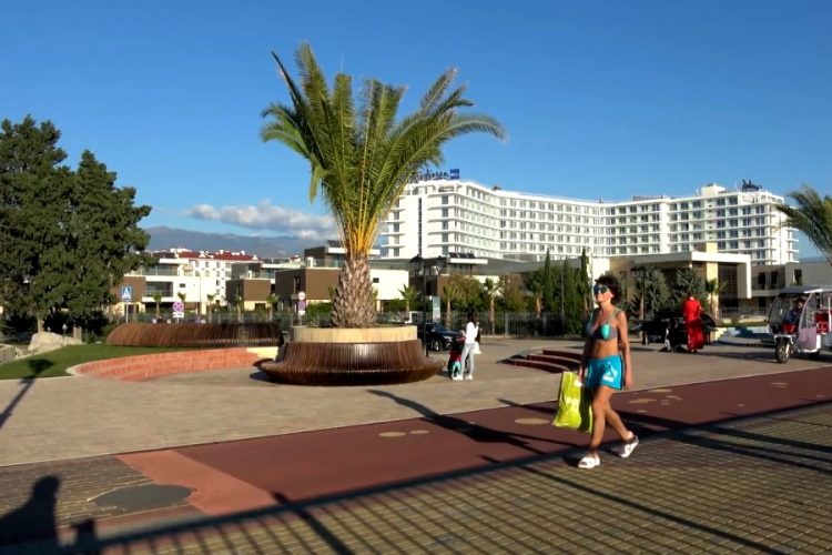 Какие отели Сочи можно забронировать на первую неделю августа?